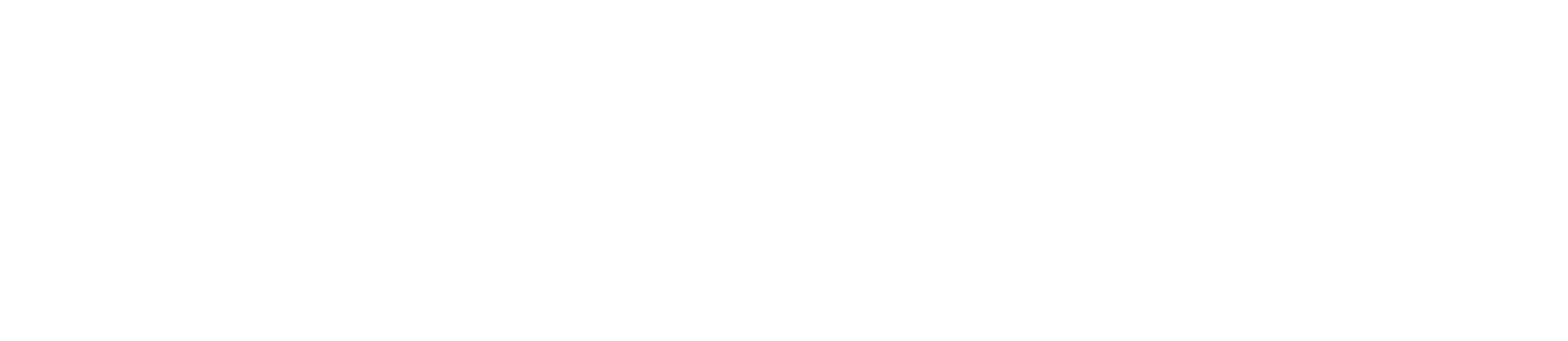 Government Logo